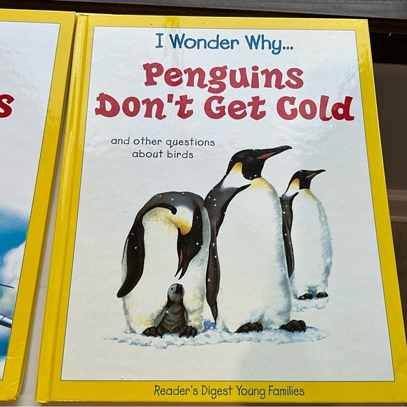 Vintage Set of 4 Reader’s Digest I Wonder Why Children’s Book Series 1990’s - Picture 5 of 16